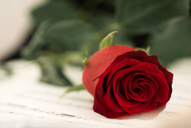istock Red Rose on Music Sheet 1296183642