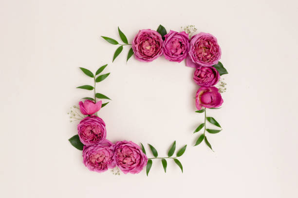 istock Flower border frame made of rose on a beige background. 1296183773