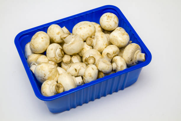 The little champignons lie in a blue container. Vegetarian food, fresh mushrooms. Champignons for stores
