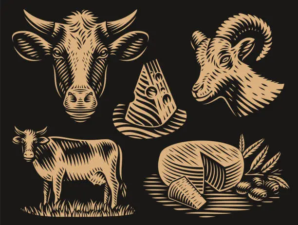 Vector illustration of set of black and white illustrations for cheese theme in engraving style.