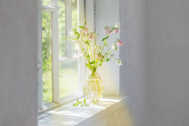 istock summer flowers in vase on windowsill in sunlight 1296190383