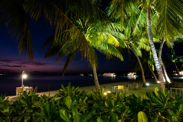 istock Romantic evening on the beach with dinner table on sand and illuminated palm trees around, Maldives. 1296190403