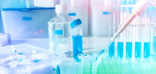 istock Polymerase Chain Reaction PCR used in medical testing, biochemistry, molecular biology, genetics, and clinical chemistry in laboratory. Molecular biology methods in pharma and academic research 1296190748