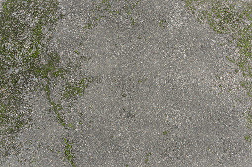 Top view of tarmac road, surface partly covered with green moss. Iregular pattern, abstract background.