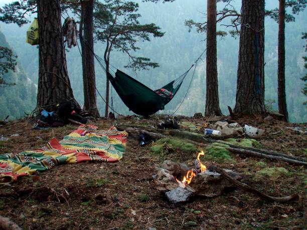 istock a campfire at the campsite 1296195223