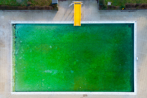 Abandoned open-air swimming pool with green algal bloom, lost place - aerial view