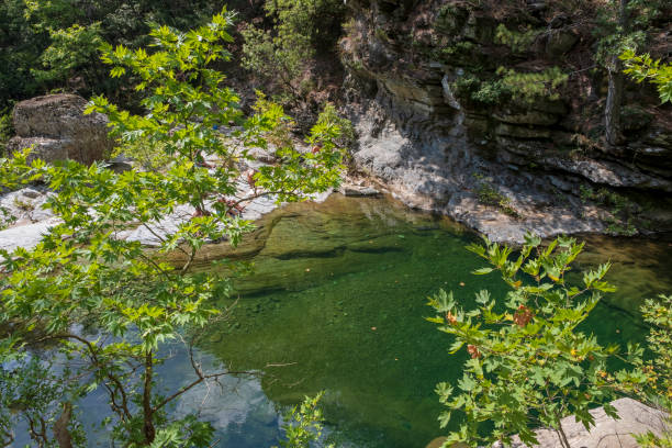 istock Stream in Ida Mountain, Beautiful nature. Turkey. 1296202526