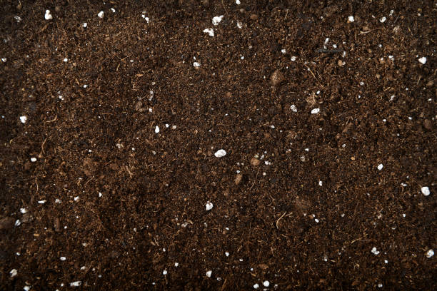 soil background - garden soil imagens e fotografias de stock