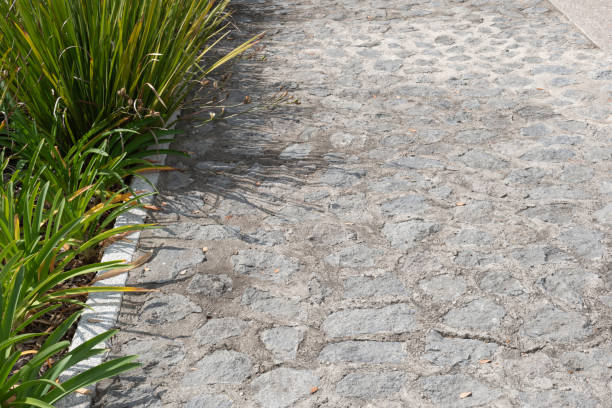 istock Stepping stones in the park 1296204962