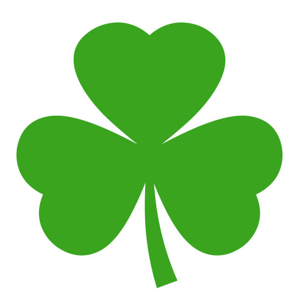 ikona wektora shamrock - st patricks day clover four leaf clover irish culture stock illustrations