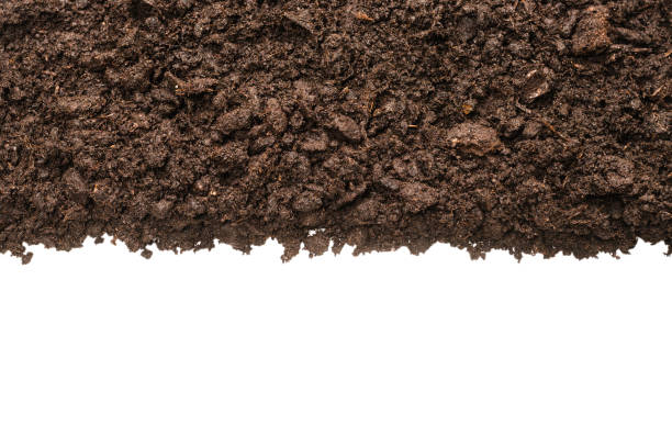 istock Black land for plant. 1296206129