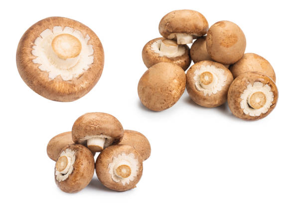 istock Tasty mushroom isolated on white background. 1296206143