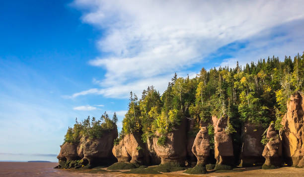 Hopewell Rocks (9) Hopewell Rocks Park in Canada is located on the shores of the Bay of Fundy in the North Atlantic ocean new brunswick canada photos stock pictures, royalty-free photos & images