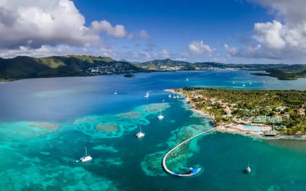 Photo of Beach in Caribbean island bay in Antilles with transparent turquoise sea water and coral reefs, aerial drone panorama, white sand and coconut palm trees tourist resort, summer vacation holidays