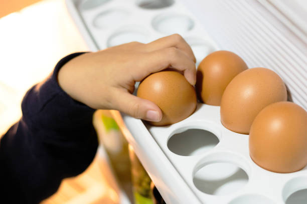 istock Close-up of child taking egg from a fridge. 1296211931