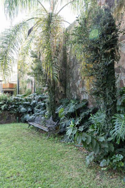 istock Greenhouse full of green plants. 1296212366