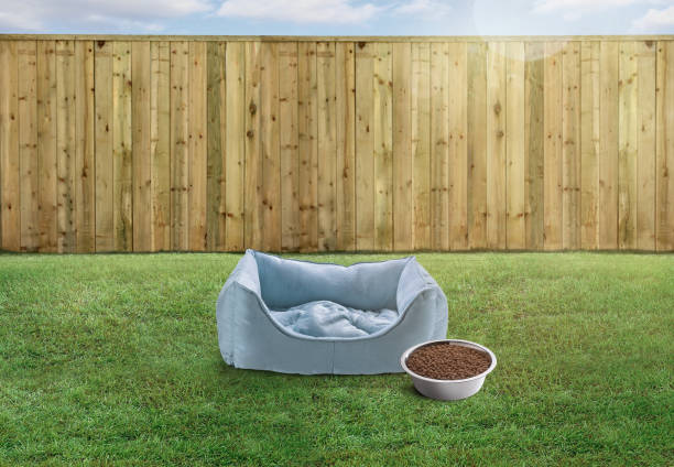 istock Empty pet and dog bed with pet food bowl in a backyard 1296213563