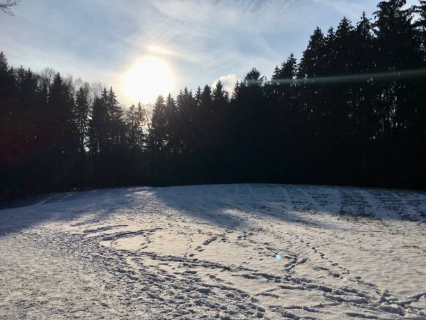 istock Winter walk through the Bavarian fields and forest 1296216639