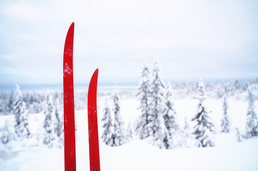 Skis standing upright in the snow, Synnfjell - Oppland County Norway