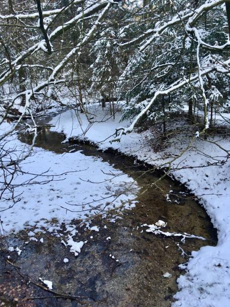 istock Winter walk through the Bavarian fields and forest 1296216966