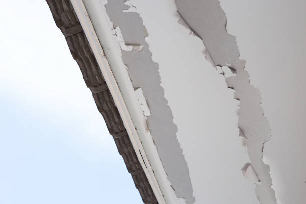 istock White color paint peeling off on ceiling house. Under the roof 1296217522