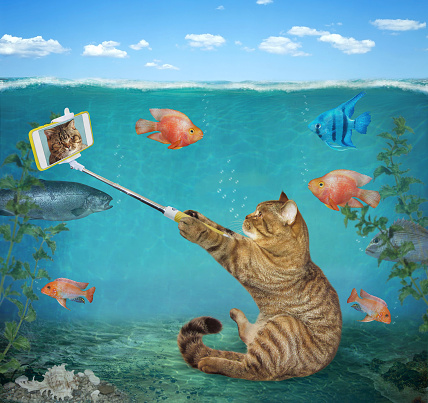 A beige cat with a smartphone takes a selfie underwater on the seabed.