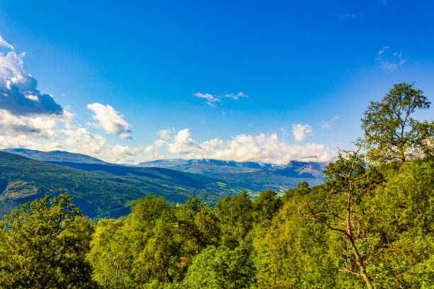 istock Mountain and forest landscape panorama at sunny day Vang Norway. 1296218197