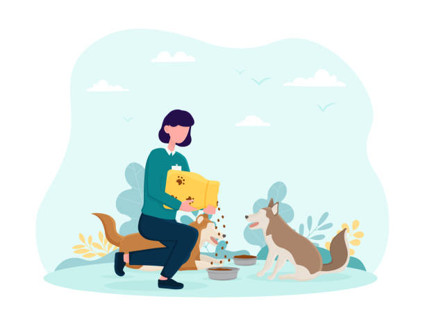 ilustrações de stock, clip art, desenhos animados e ícones de young female volunteer feeding dogs - acariciar