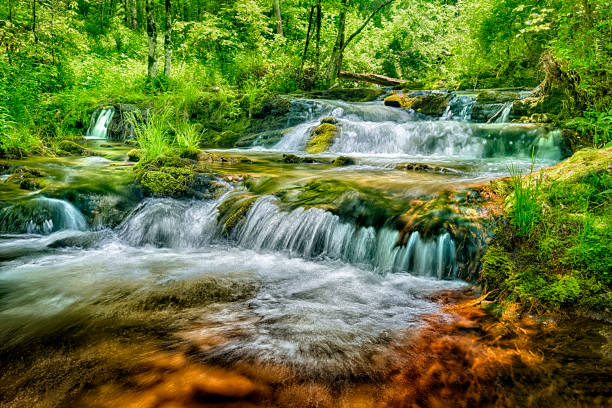 kaskadowy strumień cades cove - tennessee waterfall stream forest zdjęcia i obrazy z banku zdjęć
