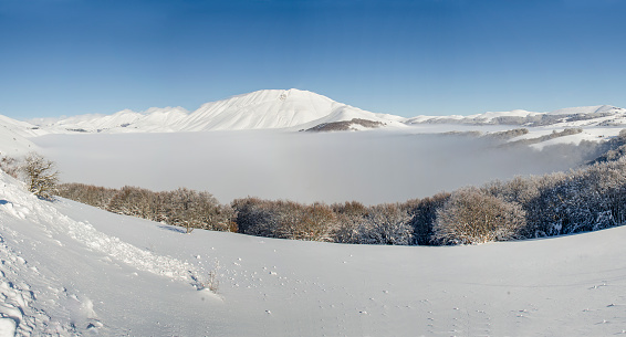 Beautiful winter landscape in the morning light. Transilvania, Romania