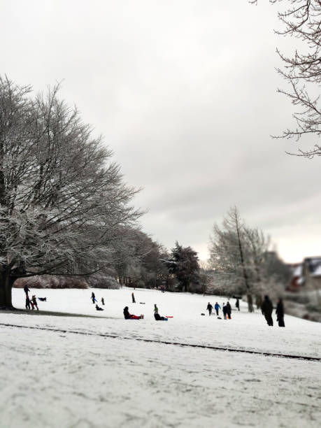 istock Family fun in the snow 1296226693