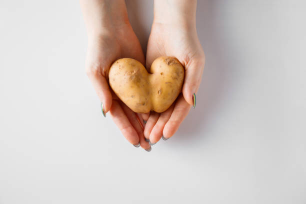 istock Heart shaped potatoes in hands on a white background. Valentine's day concept. 1296227761