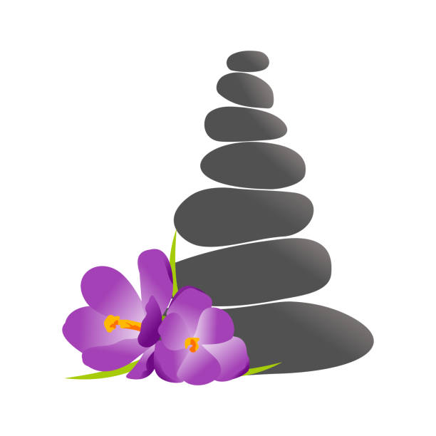 рок-баланс и цветочный логотип - buddhism zen like orchid stone stock illustrations