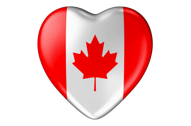 istock Heart with Canadian flag, 3D rendering isolated on white background 1296231172