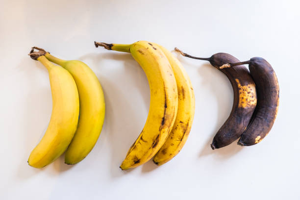 drei bananen unterschiedlicher reife - rotting banana vegetable fruit stock-fotos und bilder