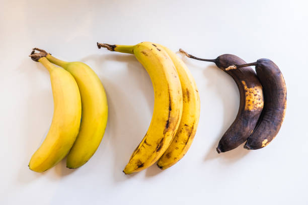 trzy banany o różnym terminie zapadalności - banana rotting ripe above zdjęcia i obrazy z banku zdjęć