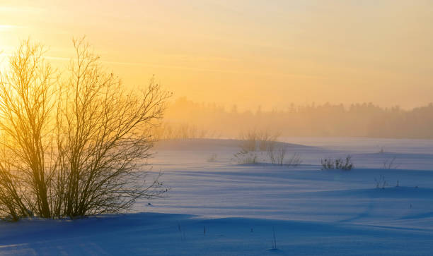 istock Winter foggy landscape. 1296232296