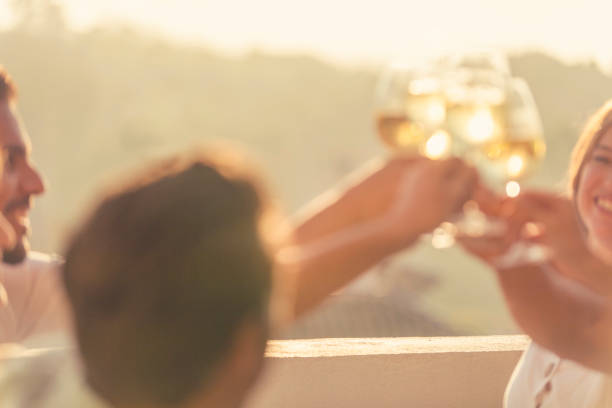 Group of friends drinking wine and making a celebration toast. Men and women can be seen happy and smiling. Back lit at sunrise or sunset. Defocussed for use as a background