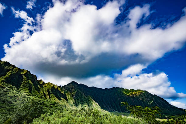 istock hoomaluhia botanical garden mountain 1296233298