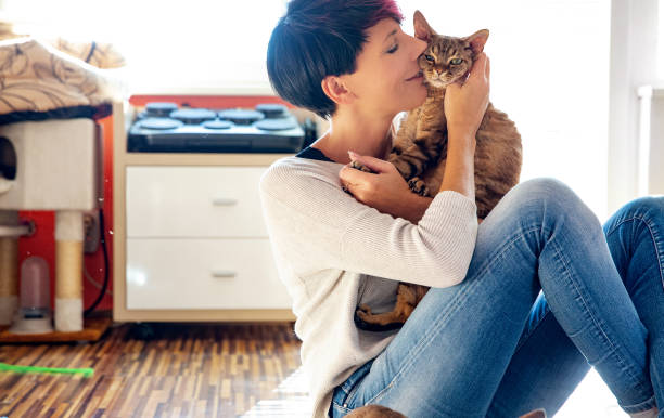 istock Happy Adult Woman Bonding With Her Devon Rex Cat at Home 1296233342