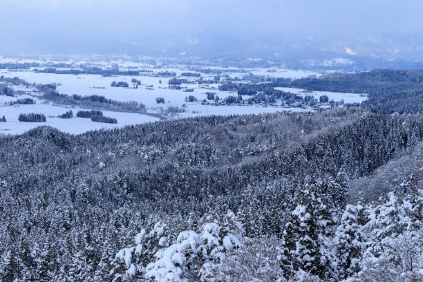 istock Winter forest vacation background with pine trees covered by heavy snow against blue sky with copy space,Akita,Japan 1296233882