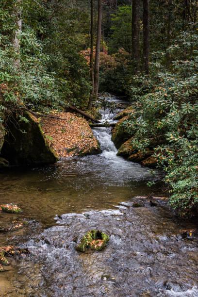 istock River scene at Great Smoky Mountains National Park during autumn 1296237346