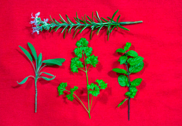 istock Arrangement of herbs 1296237370