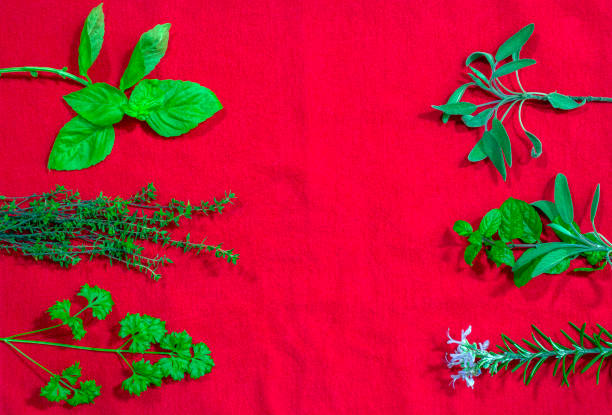istock Six herbs on the sides of a red background 1296237429