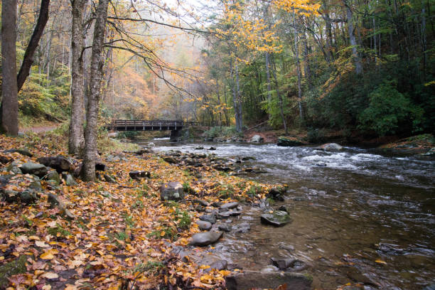 River scene at Great Smoky Mountains National Park during autumn Autumn scene with a river, a bridge in the background, and golden leaf autumn colors.  Location is the Great Smoky Mountains Park at Deep Creek. great smoky mountains national park stock pictures, royalty-free photos & images