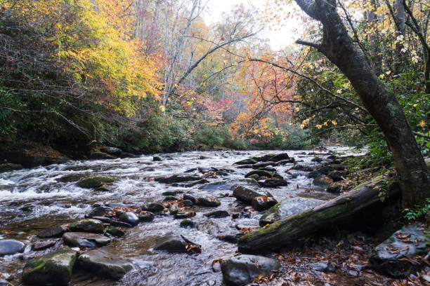 istock River scene at Great Smoky Mountains National Park during autumn 1296237456
