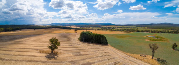 istock Aerial panorama of scenic fields and grasslands on bright summer day in Australia 1296242527