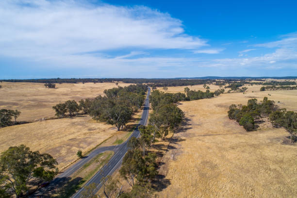 istock Rural highway passing through grasslands in Australian outback on sunny day 1296242595