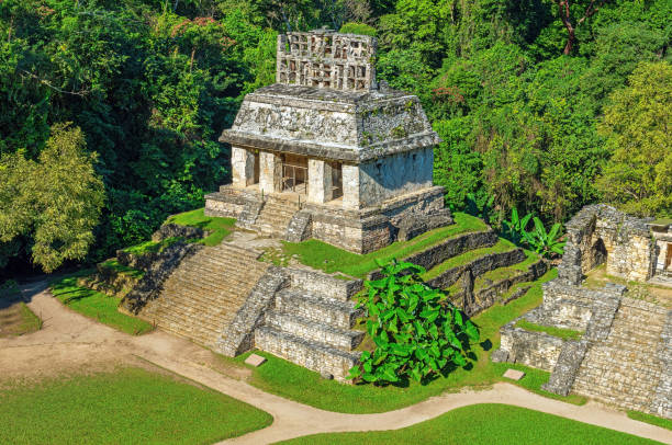 istock Palenque Mayan Temple, Chiapas, Mexico 1296244743