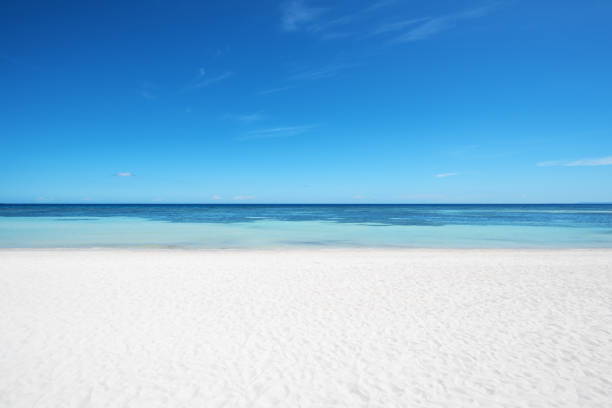 istock Perfect white sand beach and turquoise tropical ocean with clear sky background 1296254805